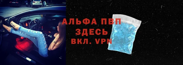 эйфоретик Арсеньев