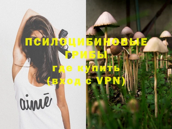 дурь Аркадак