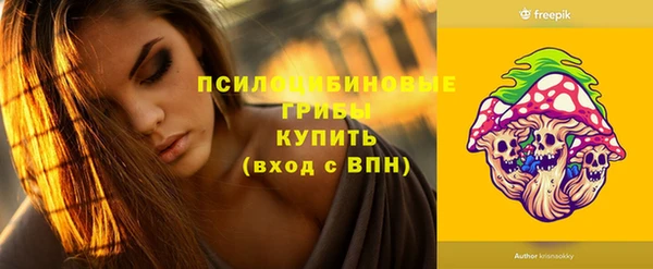 эйфоретик Арсеньев